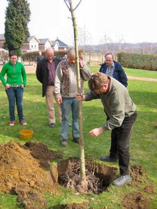 1340 Medewerkers planten op de begraafplaats Kaalheide een boom ter nagedachtenis aan Mia Vischschraper, een joods ...