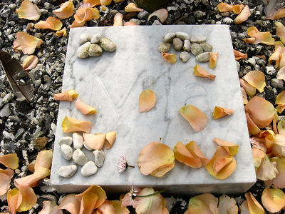 1341 Medewerkers hebben op de begraafplaats Kaalheide een steen geplaatst ter nagedachtenis aan Mia Vischschraper, een ...