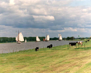 F013210 Zeilschepen van de bruine vloot varen op de IJssel. Hier met witte zeilen. Vroeger waren ze overwegend bruin..