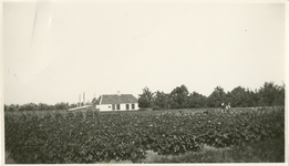 F013304 Huis gelegen tussen de Blekerijweg en de Baan (Blekerijweg 5) (D. Kalter).