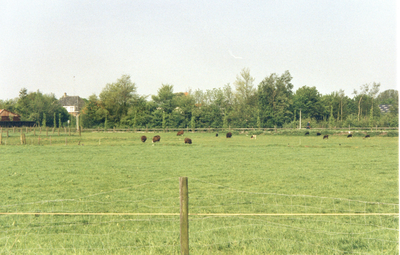 F015478 Buitengebied van IJsselmuiden.