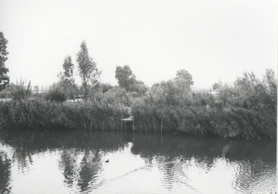 F015707 Fotoreportage van de oevers van de De Hank aan de Koeluchter zijde (tussen Wilsum en De Zande).