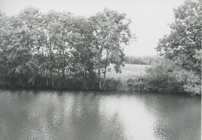 F015714 Fotoreportage van de oevers van de De Hank aan de Koeluchter zijde (tussen Wilsum en De Zande).