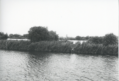 F015724 Fotoreportage van de oevers van de De Hank aan de Koeluchter zijde (tussen Wilsum en De Zande).
