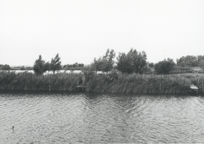 F015728 Fotoreportage van de oevers van de De Hank aan de Koeluchter zijde (tussen Wilsum en De Zande).
