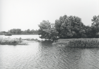 F015731 Fotoreportage van de oevers van de De Hank aan de Koeluchter zijde (tussen Wilsum en De Zande).