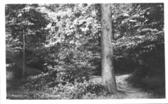  Schaesberg In het Streperbos