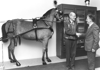 6057 Paard in het heemkunde museum in Landgraaf