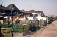 6448 Achtertuinen van de woningen gelegen aan de Doornkampstraat in Nieuwenhagen