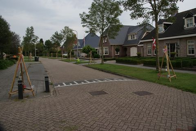 205 Versierde straten in Vollenhove tijdens de feestweek. In plaats van het jaarlijkse bloemencorso, dat door het ...
