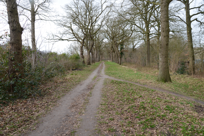 11287 Wandelpad tussen Johan van den Kornputkwartier en nieuwbouwlocatie Steenwijk zuidoost. Het pad loopt richting de ...
