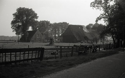 173 Boerderij met schuren [vermoedelijk in de omgeving van Dwingeloo] omstreeks 1975