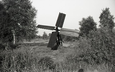 176 Paaltjasker in de Weerribben omstreeks 1975