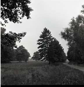 49 Landschap met zandpad omstreeks 1973