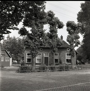 50 Huis met levensboom boven de voordeur (vermoedelijk in Staphorst) omstreeks 1973