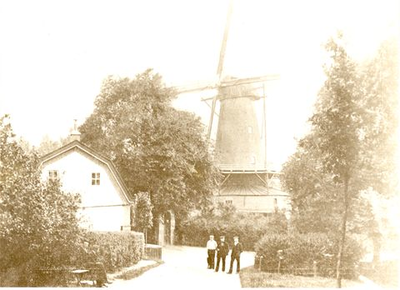 722 De molen aan de Oosterpoort te Steenwijk omstreeks 1900
