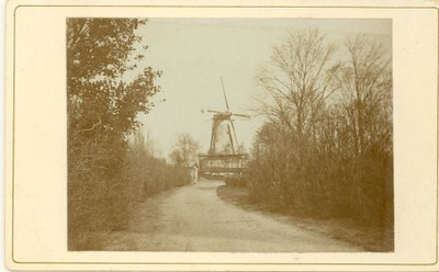 832 De molen van Jan Knol aan de Oosterpoort te Steenwijk omstreeks 1900