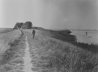  Foto van de kruin van de zeedijk van Westbatterij en Muiderhaven gezien vanaf het einde van de zeedijk, 1921
