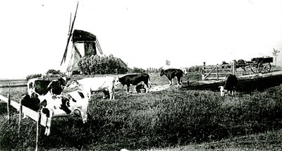 2144 De Noordmolen aan de Rijskade te Pijnacker, z.j. (1905?)