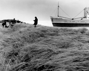 1687 De stranding van het stoomschip Stardust op het strandhoofd 3A 's-Gravenzande., 1976/januari