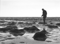 1554 Bulten veengrond, blootgekomen na de novemberstormen in 1966 op het strand van Ockenburg, ter hoogte van ...