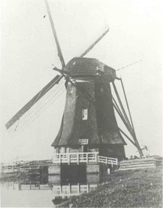 1064 Molen van de Polder Schieveen aan de Hofweg te Overschie, ca. 1900 a 1915., 1985