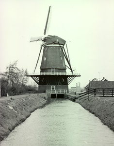 982 Nieuwlandsche molen te Hoek van Holland na de restauratie, 1988