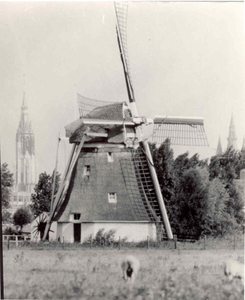 1044 Schaapweimolen met op de achtergrond Delft, 1976