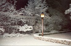 1844 Brandende seinlantaarn in winterse tuin van het gemeenlandshuis te Delft, 1986