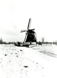 1923 Schaapweimolen in de sneeuw, 1978