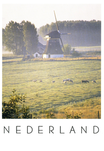 1927 Schaapweimolen in de morgen mist te Rijswijk, 1989