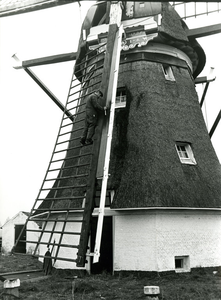 1929 Werk aan de windborden tijdens het groot onderhoud van de Schaapweimolen te Rijswijk, 1978