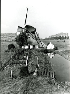 1934 Schaapweimolen te Rijswijk, op de achtergrond de flats van Rijswijk in de zomer van 1979, 1979