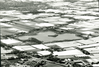 1955 luchtfoto van kassen in het Westland, z.j.