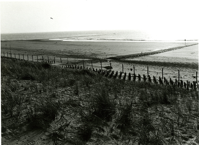 2003 Duinbeplanting en het strand met strandhoofd, z.j. (1984?)