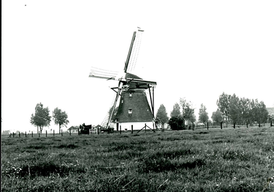 2244 De Schaapweimolen te Rijswijk, 1980/april/30