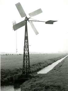 2319 Een Bosman-molentje met op de achtergrond koeien in de wei, z.j. (1980?)