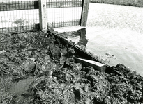 2389 Maalpeil in de Tedingerbroekpolder, Veenweg te Nootdorp ten gevolge van de storm op 1 en 2 mei 1979., 1979/mei/2