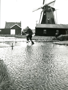 2390 Maalpeil bij de Korpershoekse molen te Schipluiden ten gevolge van de storm op 1 en 2 mei 1979., 1979/mei/2
