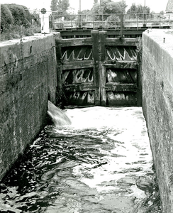 2481 De sluisdeuren van het schutsluisje van de polder Berkel aan de Berkelse Zweth, 1981/augustus/12