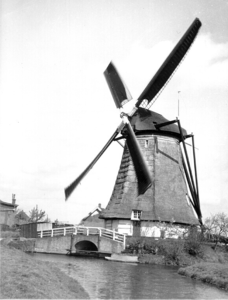 952 De Dijkmolen en de molensloot van de Dijkpolder te Maasland, gezien naar het noordoosten., 1960