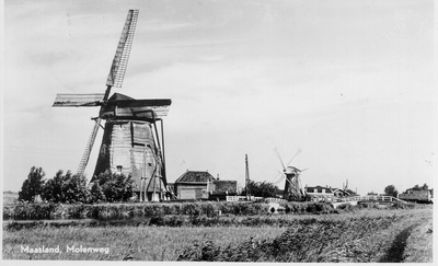 953 De Dijkmolen en van de Dijkpolder te Maasland, gezien naar het noorden. Op de achtergrond de korenmolen De Drie Lelys .