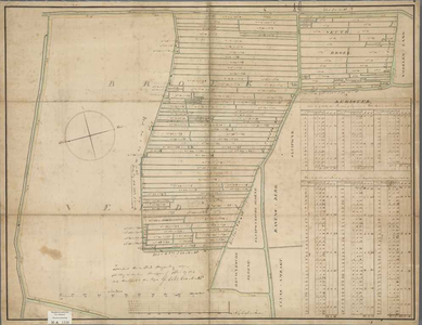 A-1356 [Kaart van de veen- en droogmakerij van een gedeelte van de Broekvelden en Vettenbroek onder Zwam..., 1810
