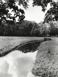 FOTO-000003 Dobbewatering gezien vanaf de Horstlaan richting Duivenvoorde, 1965