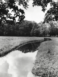 FOTO-000003 Dobbewatering gezien vanaf de Horstlaan richting Duivenvoorde, 1965