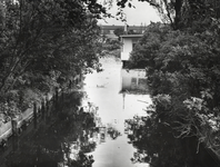 FOTO-000007 Dobbewatering door het landgoed Duivenvoorde richting Leidschendam, 1965