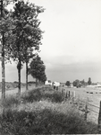 FOTO-000548 Tuimelkade aan de noordzijde van de Haarlemmermeerpolder, augustus 1967