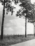 FOTO-000549 Tuimelkade aan de noordzijde van de Haarlemmermeerpolder, augustus 1967