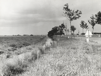 FOTO-000553 Provinciale weg aan de Wijde Aa, augustus 1967