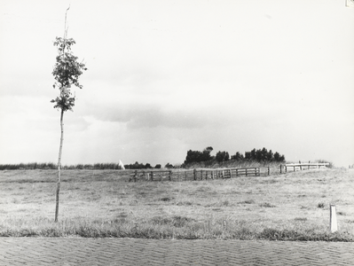 FOTO-000554 Wijde Aa, vanaf de zuidzijde van de Provinciale weg (kade), augustus 1967